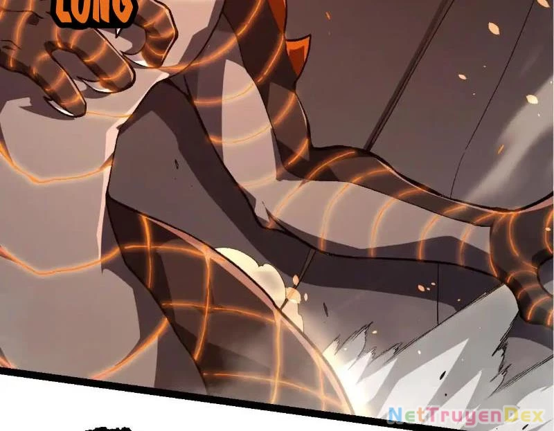 Chuyển Sinh Thành Liễu Đột Biến Chapter 317 - Trang 4