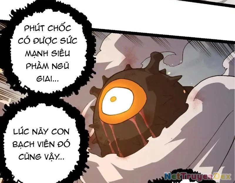 Chuyển Sinh Thành Liễu Đột Biến Chapter 317 - Trang 4