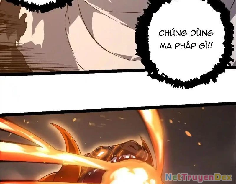 Chuyển Sinh Thành Liễu Đột Biến Chapter 317 - Trang 4
