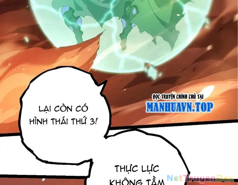 Chuyển Sinh Thành Liễu Đột Biến Chapter 317 - Trang 4