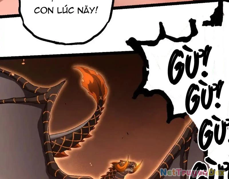 Chuyển Sinh Thành Liễu Đột Biến Chapter 317 - Trang 4