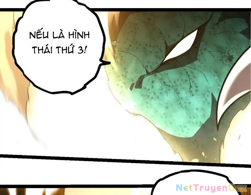 Chuyển Sinh Thành Liễu Đột Biến Chapter 317 - Trang 4