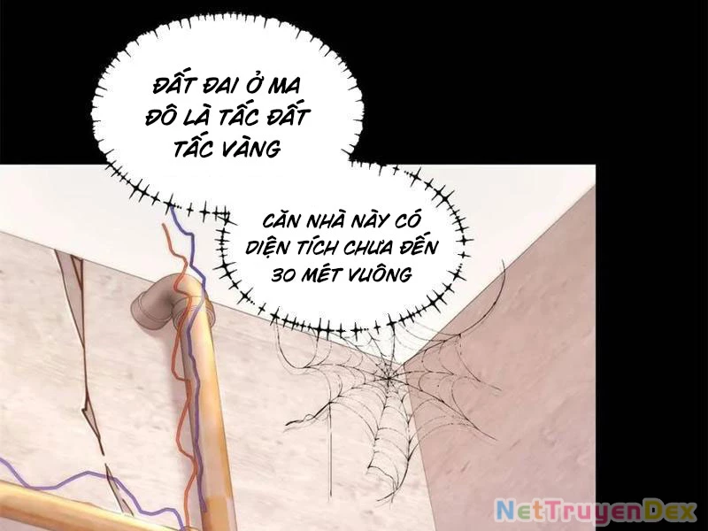 Trọng Sinh Không Làm Chạn Vương, Tôi Một Mình Nạp Game Thăng Cấp Chapter 183 - Trang 4