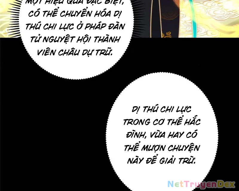 Chưởng Môn Khiêm Tốn Chút Chapter 458 - Trang 4