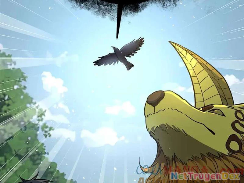 Toàn Cầu Cao Võ Chapter 292 - Trang 4