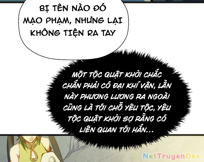 Đỉnh Cấp Khí Vận, Lặng Lẽ Tu Luyện Ngàn Năm Chapter 198 - Trang 2