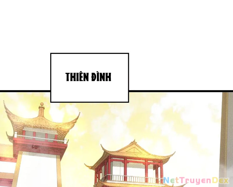 Đỉnh Cấp Khí Vận, Lặng Lẽ Tu Luyện Ngàn Năm Chapter 198 - Trang 2