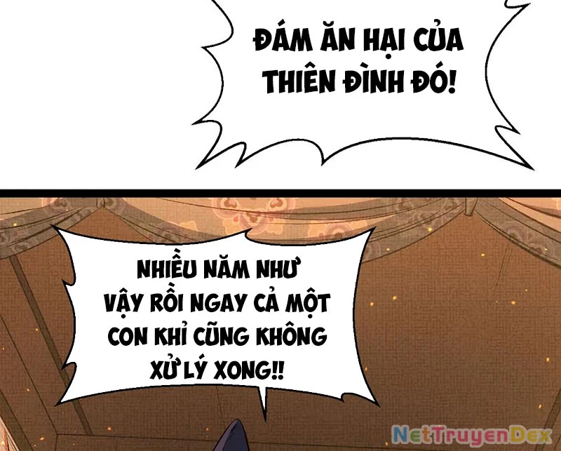 Đỉnh Cấp Khí Vận, Lặng Lẽ Tu Luyện Ngàn Năm Chapter 198 - Trang 2