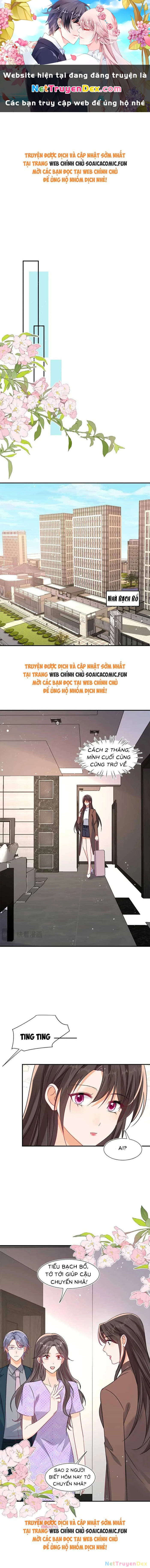 Cùng Lục Gia Yêu Đương Vụng Trộm Chapter 108 - Trang 4