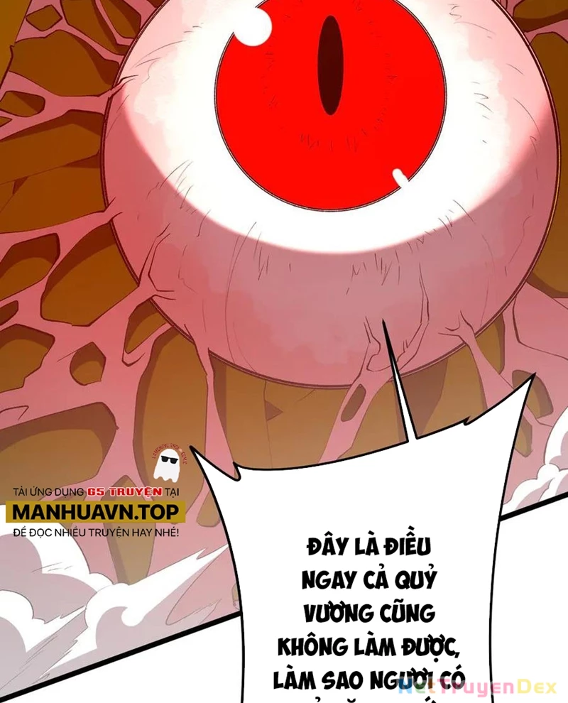 Bắt Đầu Với Trăm Vạn Minh Tệ Chapter 205 - Trang 4