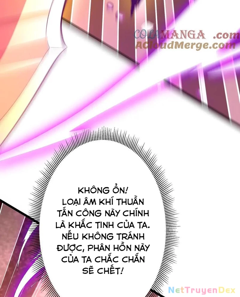 Bắt Đầu Với Trăm Vạn Minh Tệ Chapter 205 - Trang 4