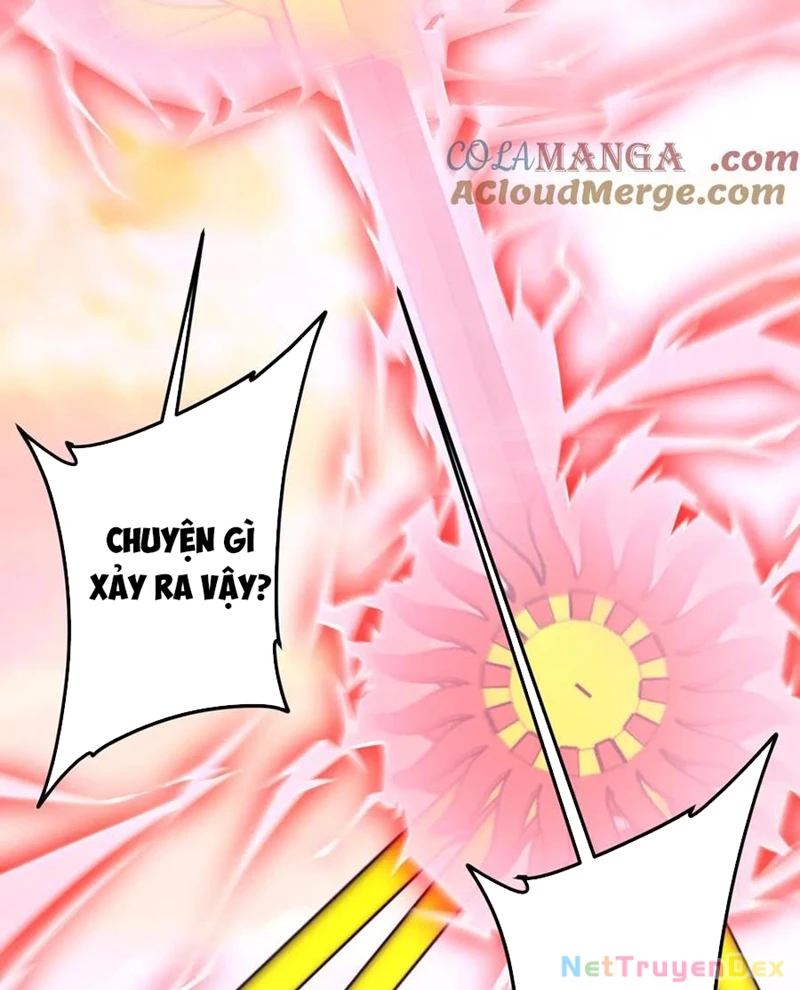 Bắt Đầu Với Trăm Vạn Minh Tệ Chapter 205 - Trang 4