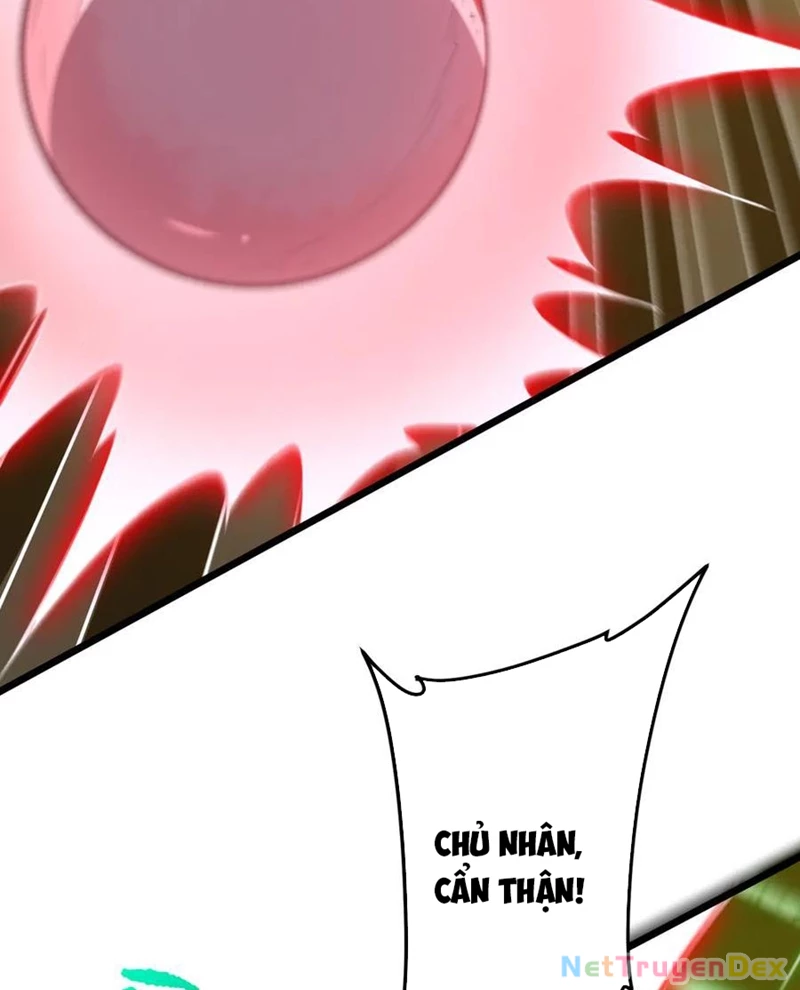 Bắt Đầu Với Trăm Vạn Minh Tệ Chapter 205 - Trang 4