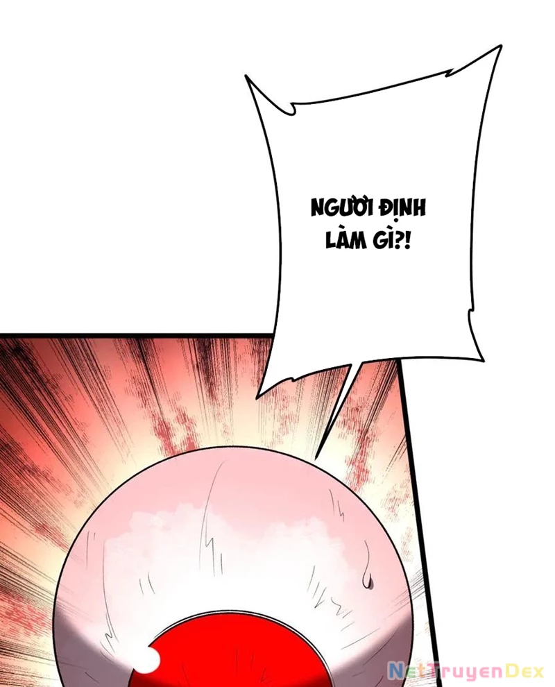 Bắt Đầu Với Trăm Vạn Minh Tệ Chapter 205 - Trang 4