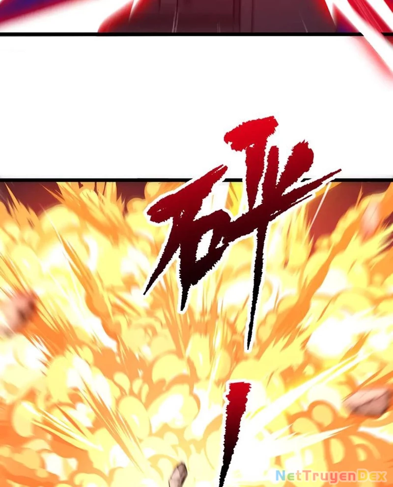 Bắt Đầu Với Trăm Vạn Minh Tệ Chapter 205 - Trang 4