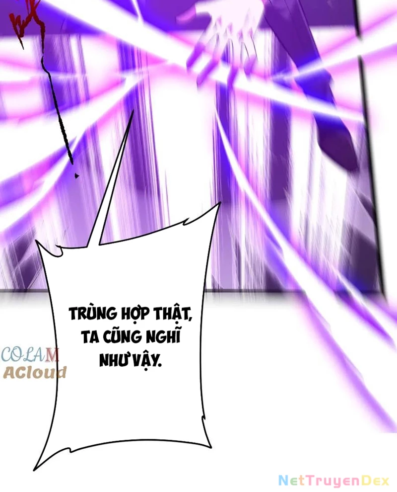 Bắt Đầu Với Trăm Vạn Minh Tệ Chapter 205 - Trang 4