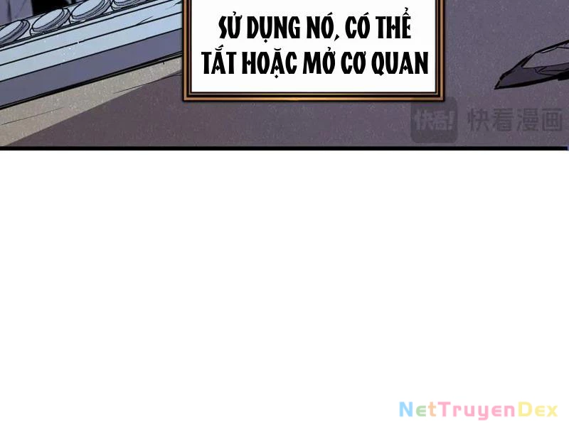 Hệ Thống Của Ta Thật Đứng Đắn Chapter 29 - Trang 4