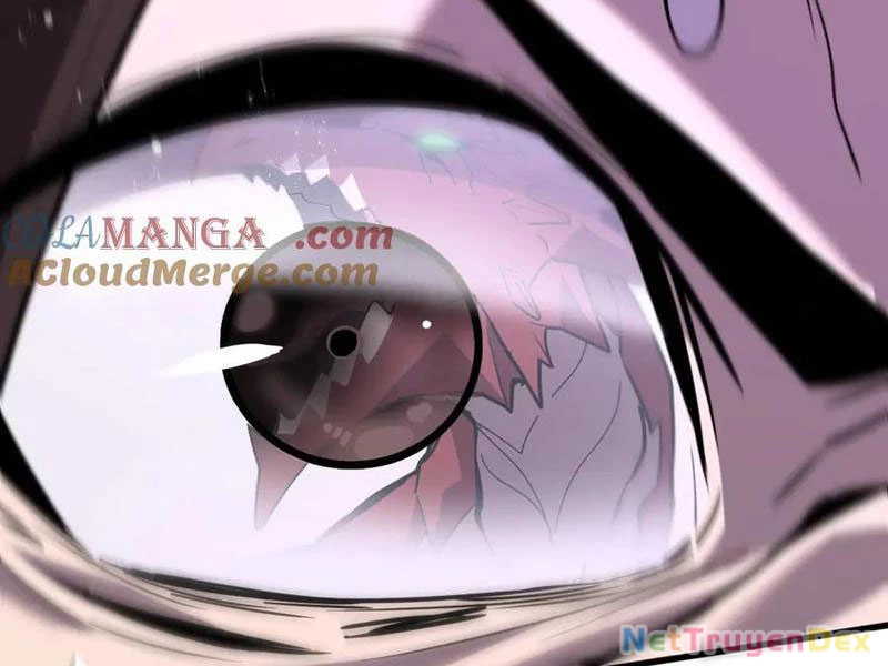 Hệ Thống Của Ta Thật Đứng Đắn Chapter 29 - Trang 4