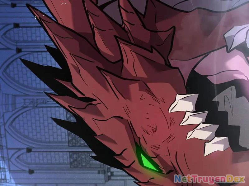 Hệ Thống Của Ta Thật Đứng Đắn Chapter 29 - Trang 4