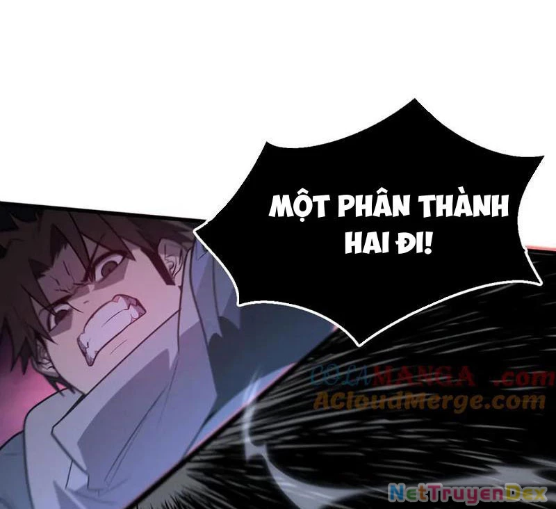 Hệ Thống Của Ta Thật Đứng Đắn Chapter 31 - Trang 4