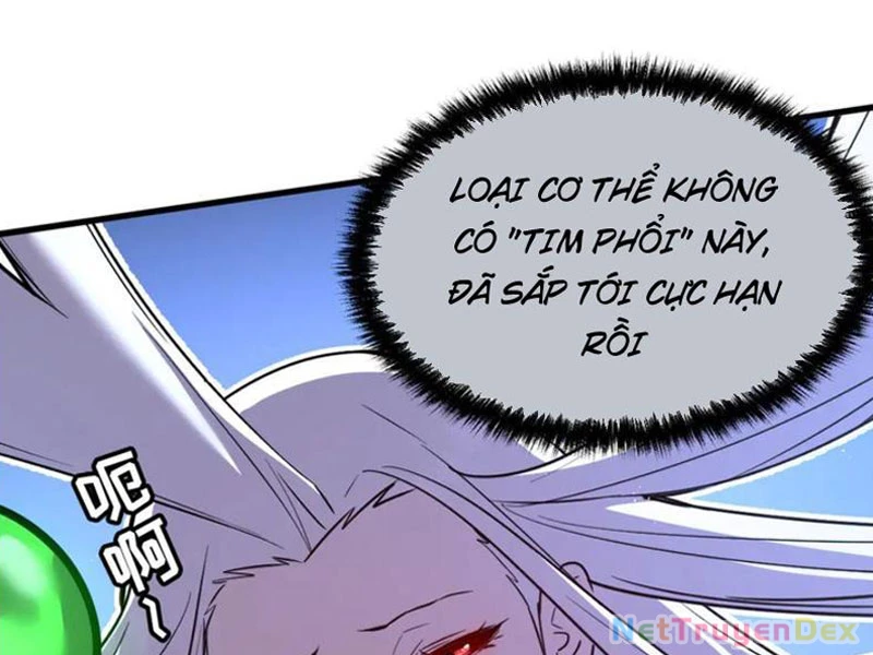 Hệ Thống Của Ta Thật Đứng Đắn Chapter 32 - Trang 4