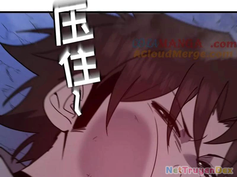 Hệ Thống Của Ta Thật Đứng Đắn Chapter 33 - Trang 4