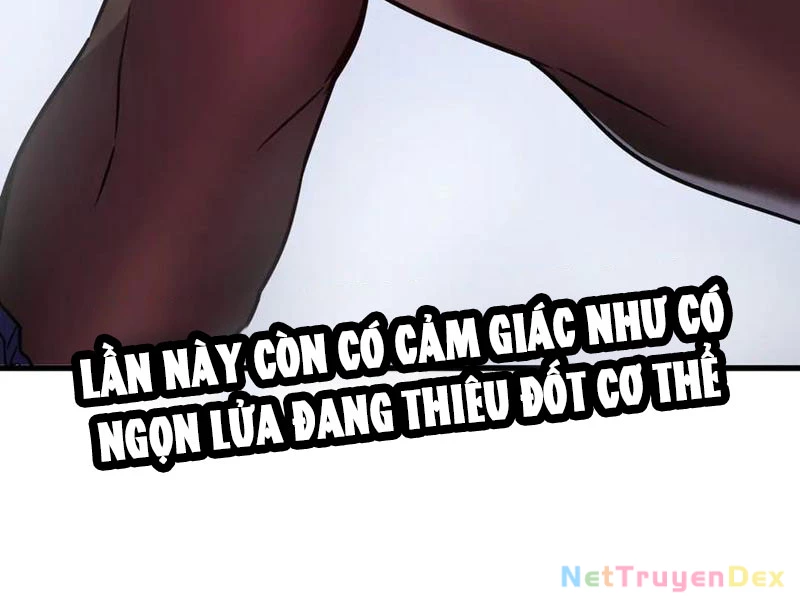 Hệ Thống Của Ta Thật Đứng Đắn Chapter 33 - Trang 4