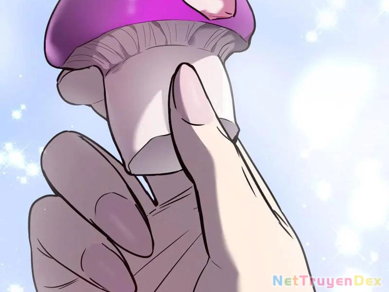 Hệ Thống Của Ta Thật Đứng Đắn Chapter 33 - Trang 4