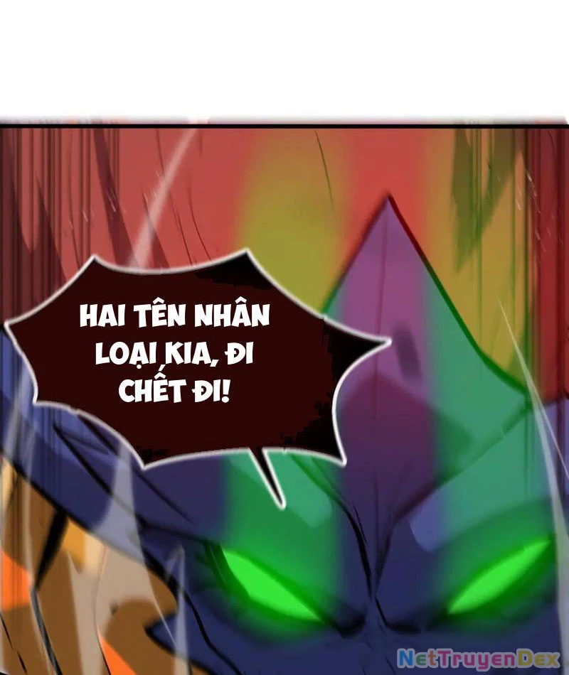 Hệ Thống Của Ta Thật Đứng Đắn Chapter 34 - Trang 4