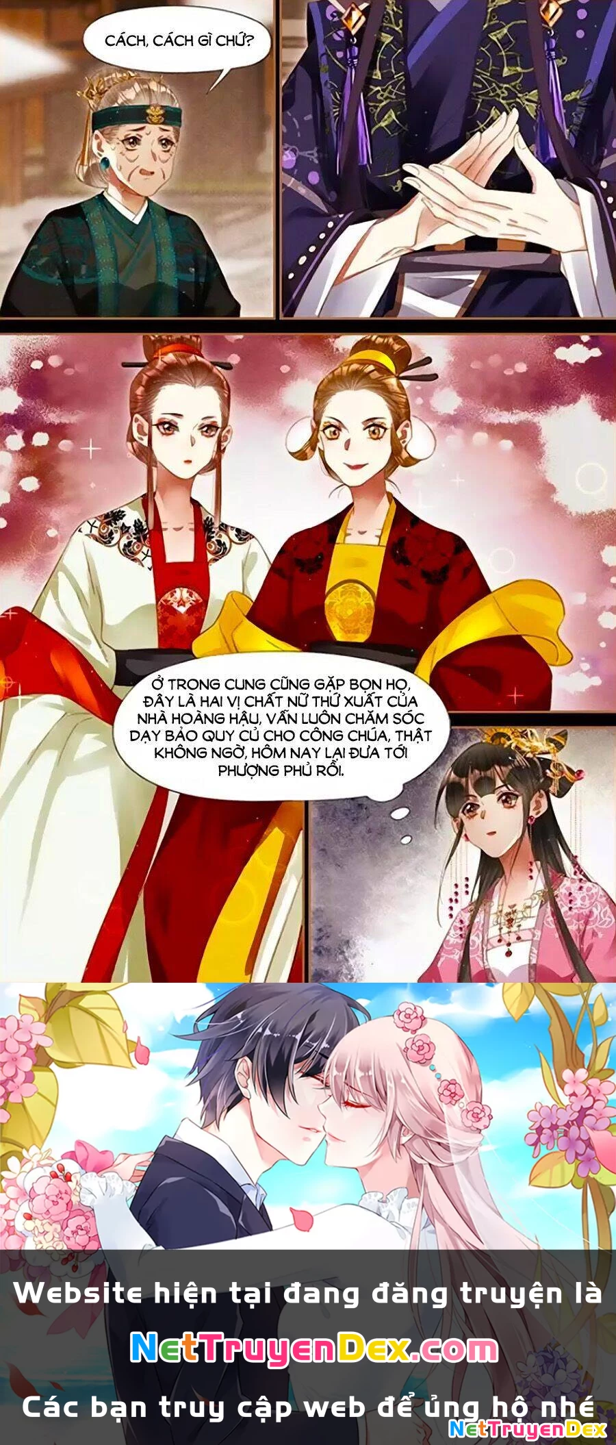 Thần Y Đích Nữ Chapter 257 - Trang 4