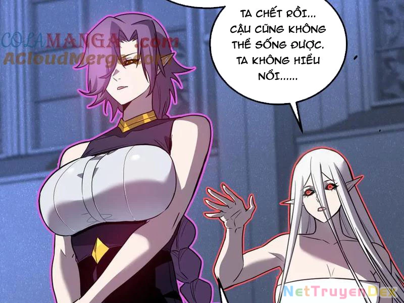 Hệ Thống Của Ta Thật Đứng Đắn Chapter 35 - Trang 4
