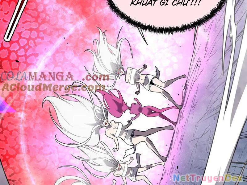 Hệ Thống Của Ta Thật Đứng Đắn Chapter 35 - Trang 4
