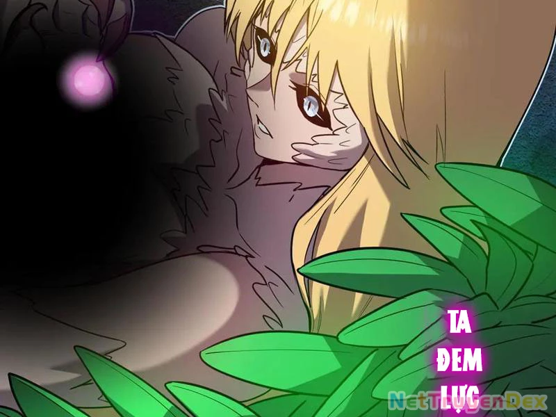 Hệ Thống Của Ta Thật Đứng Đắn Chapter 35 - Trang 4