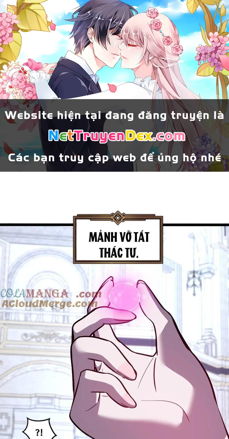 Hệ Thống Của Ta Thật Đứng Đắn Chapter 38 - Trang 4