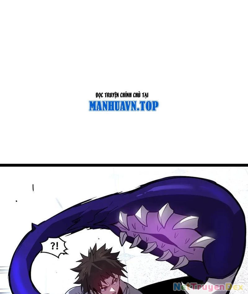 Hệ Thống Của Ta Thật Đứng Đắn Chapter 38 - Trang 4