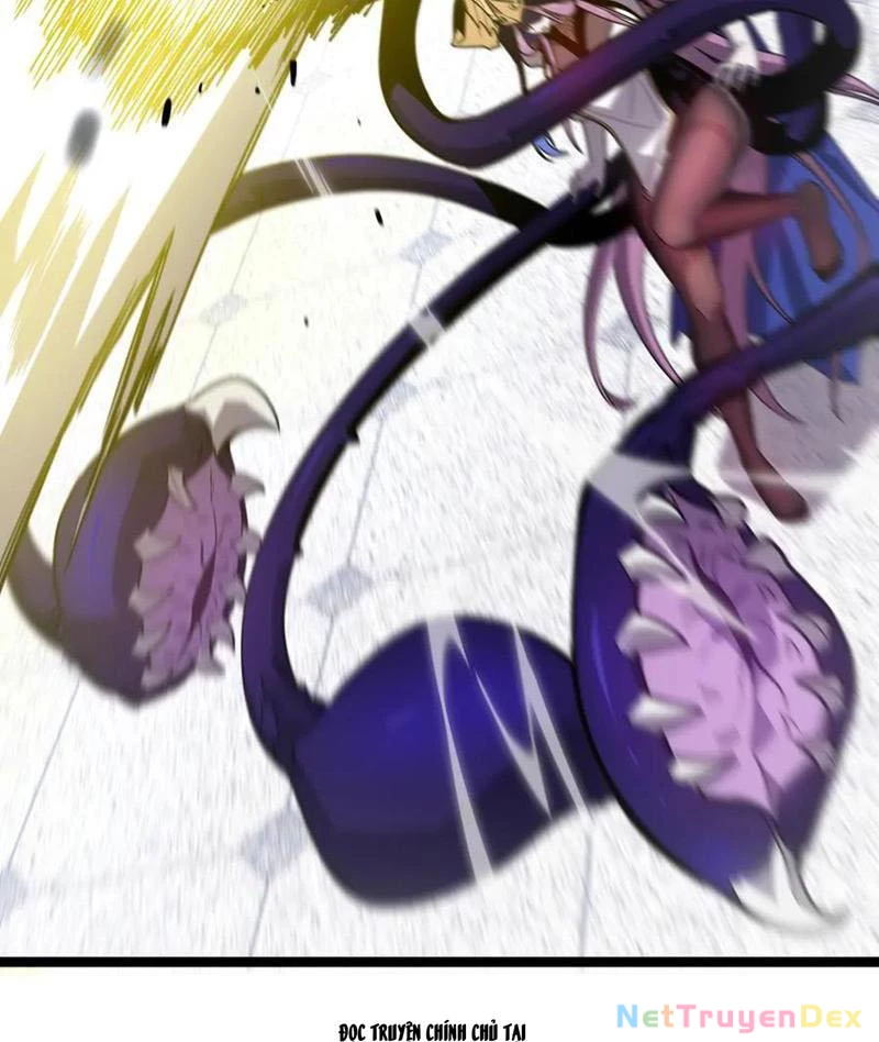 Hệ Thống Của Ta Thật Đứng Đắn Chapter 38 - Trang 4