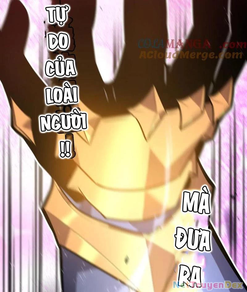 Hệ Thống Của Ta Thật Đứng Đắn Chapter 38 - Trang 4