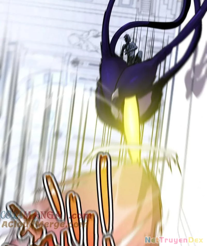 Hệ Thống Của Ta Thật Đứng Đắn Chapter 38 - Trang 4