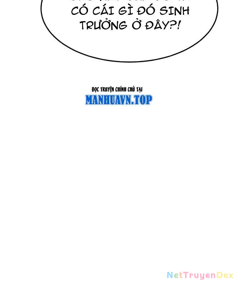 Hệ Thống Của Ta Thật Đứng Đắn Chapter 38 - Trang 4