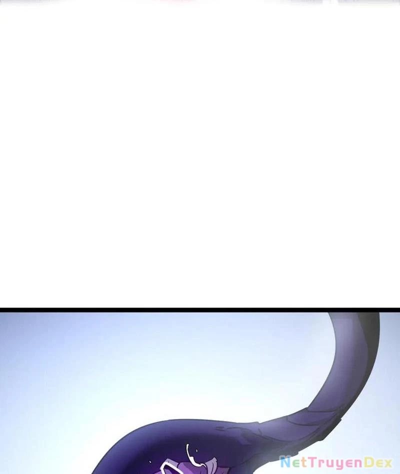 Hệ Thống Của Ta Thật Đứng Đắn Chapter 38 - Trang 4