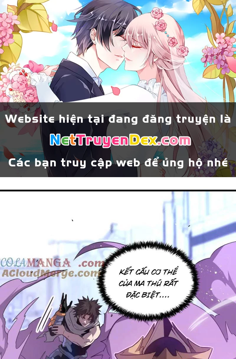 Hệ Thống Của Ta Thật Đứng Đắn Chapter 40 - Trang 4