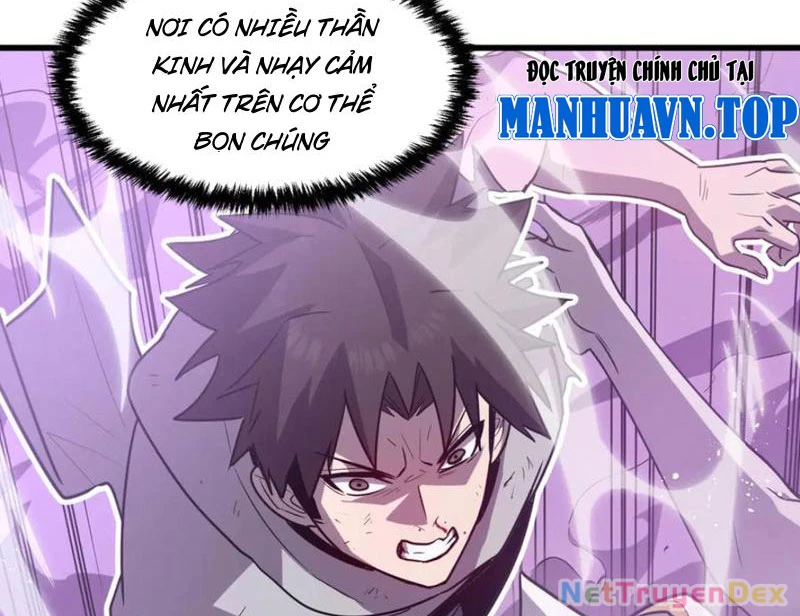 Hệ Thống Của Ta Thật Đứng Đắn Chapter 40 - Trang 4