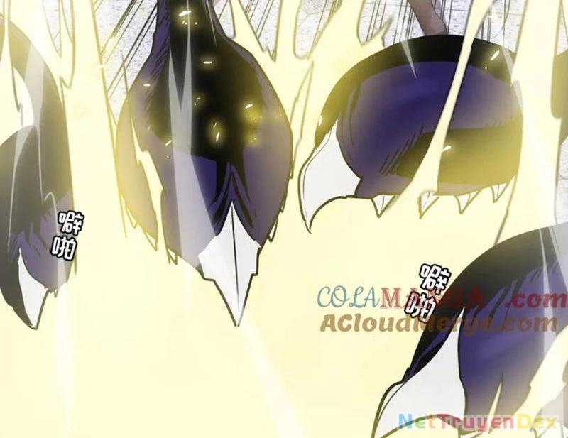 Hệ Thống Của Ta Thật Đứng Đắn Chapter 40 - Trang 4