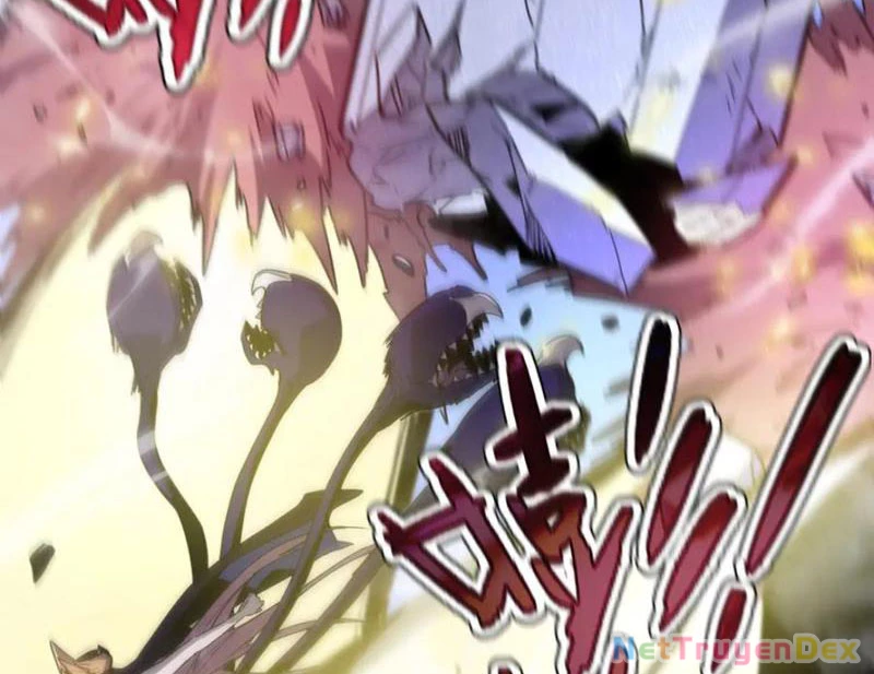 Hệ Thống Của Ta Thật Đứng Đắn Chapter 40 - Trang 4