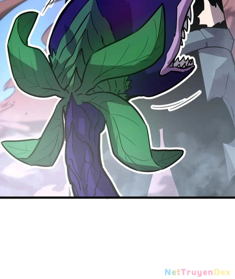 Hệ Thống Của Ta Thật Đứng Đắn Chapter 41 - Trang 4