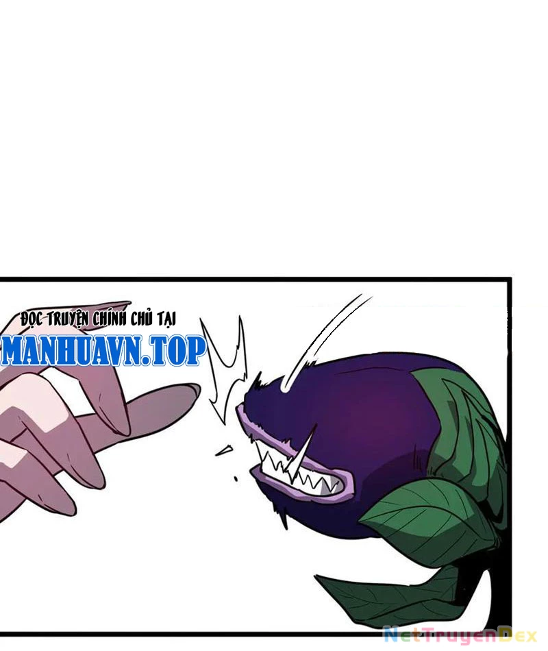 Hệ Thống Của Ta Thật Đứng Đắn Chapter 41 - Trang 4