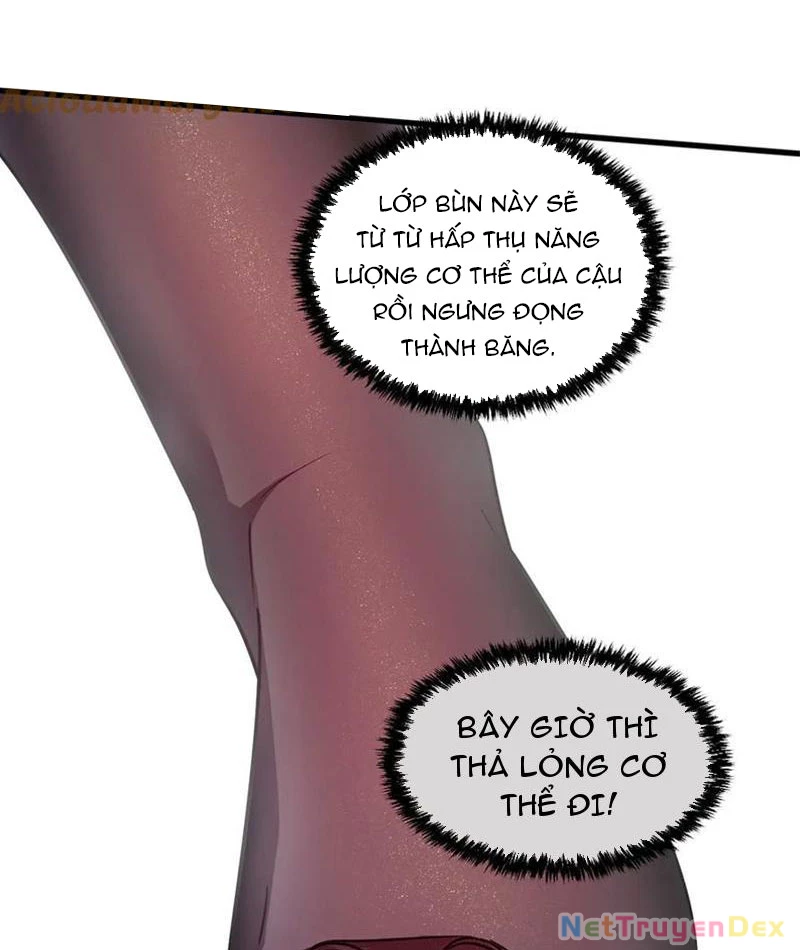 Hệ Thống Của Ta Thật Đứng Đắn Chapter 41 - Trang 4