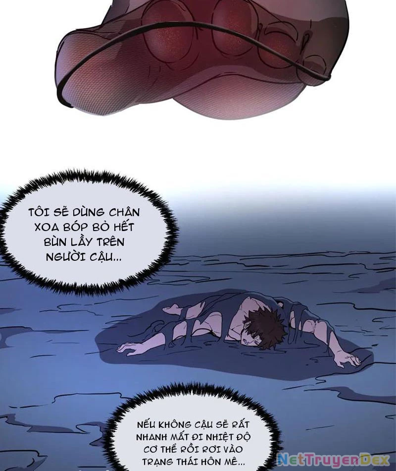 Hệ Thống Của Ta Thật Đứng Đắn Chapter 41 - Trang 4