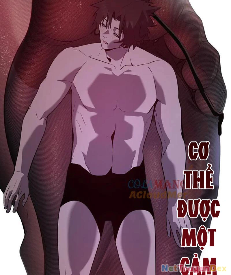 Hệ Thống Của Ta Thật Đứng Đắn Chapter 41 - Trang 4