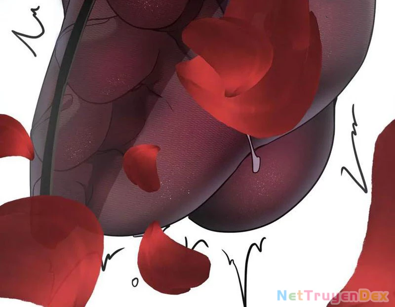 Hệ Thống Của Ta Thật Đứng Đắn Chapter 42 - Trang 4